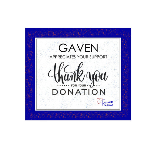 Donation for Gaven/ Donacion para Gaven